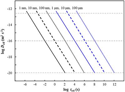 Biochemodynamic Features of Metal Ions Bound by Micro- and Nano-Plastics in Aquatic Media